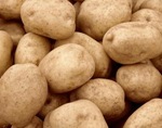 Raw potatoes, close-up